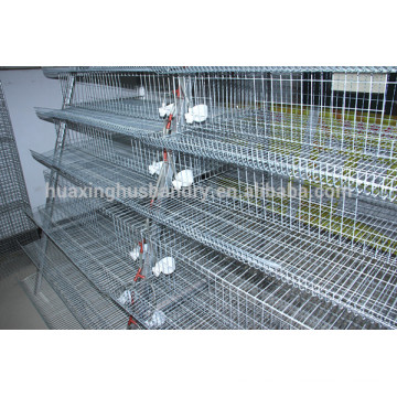 china new design best selling commercial quail cages